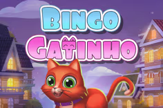 bingogatinho