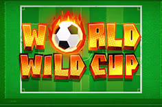 worldwildcup